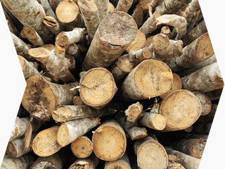 Pellet de bois et buches densifiées
